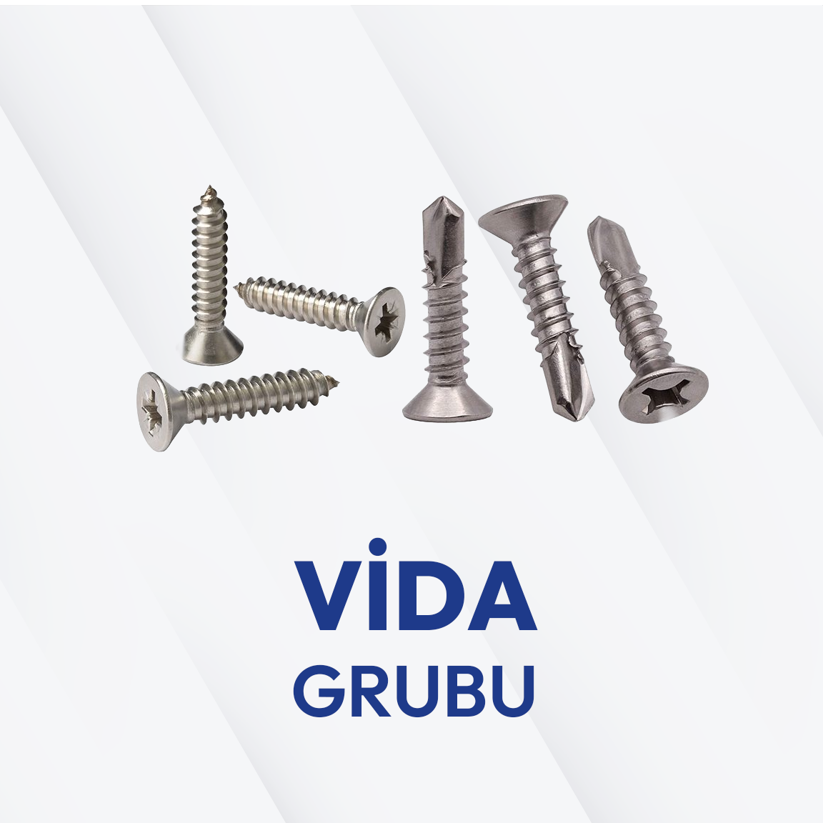 Vida Grubu